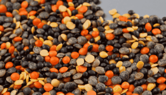 Vegyes lencse fajták, szív alakban elrendezve. Látható barna, vörös, fekete és sárga lencse egy semleges szürke háttéren.