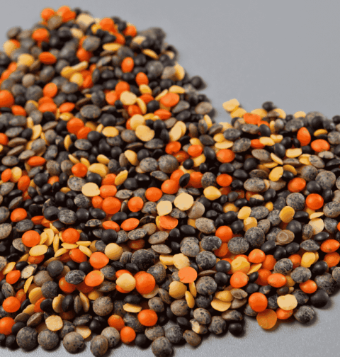 Vegyes lencse fajták, szív alakban elrendezve. Látható barna, vörös, fekete és sárga lencse egy semleges szürke háttéren.