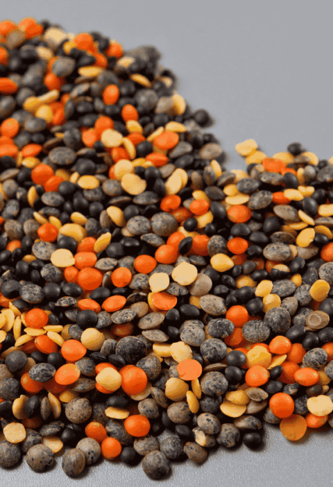 Vegyes lencse fajták, szív alakban elrendezve. Látható barna, vörös, fekete és sárga lencse egy semleges szürke háttéren.