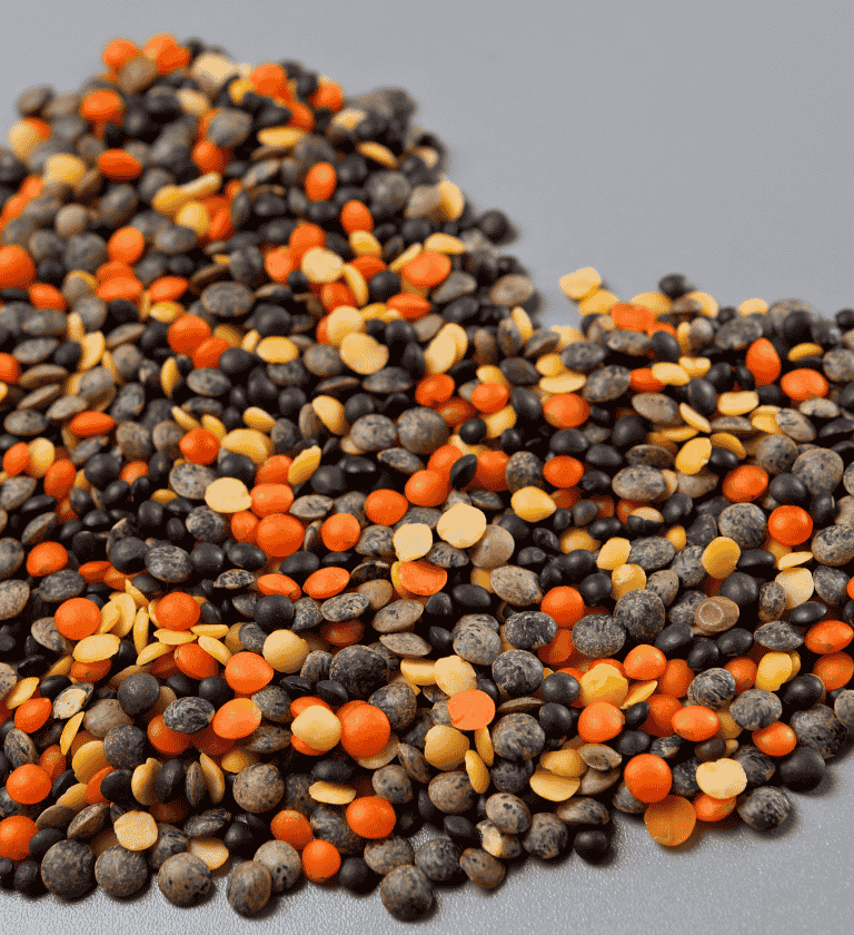 Vegyes lencse fajták, szív alakban elrendezve. Látható barna, vörös, fekete és sárga lencse egy semleges szürke háttéren.