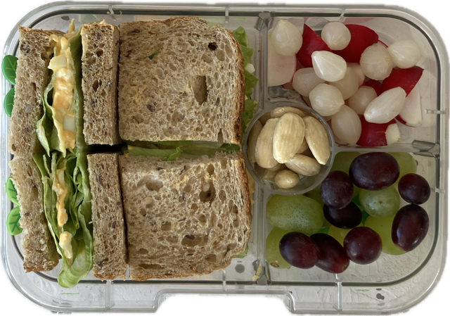 Teljes kiőrlésű tojásos szendvics, friss retek, gyöngyhagyma, szőlő és mandula egy 4 rekeszes dobozban az uzsonna meal prep módszer szerint elkészítve.